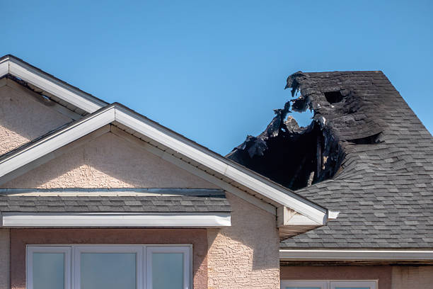 Top rated local Odor Removal specialists in Dickerson, MD